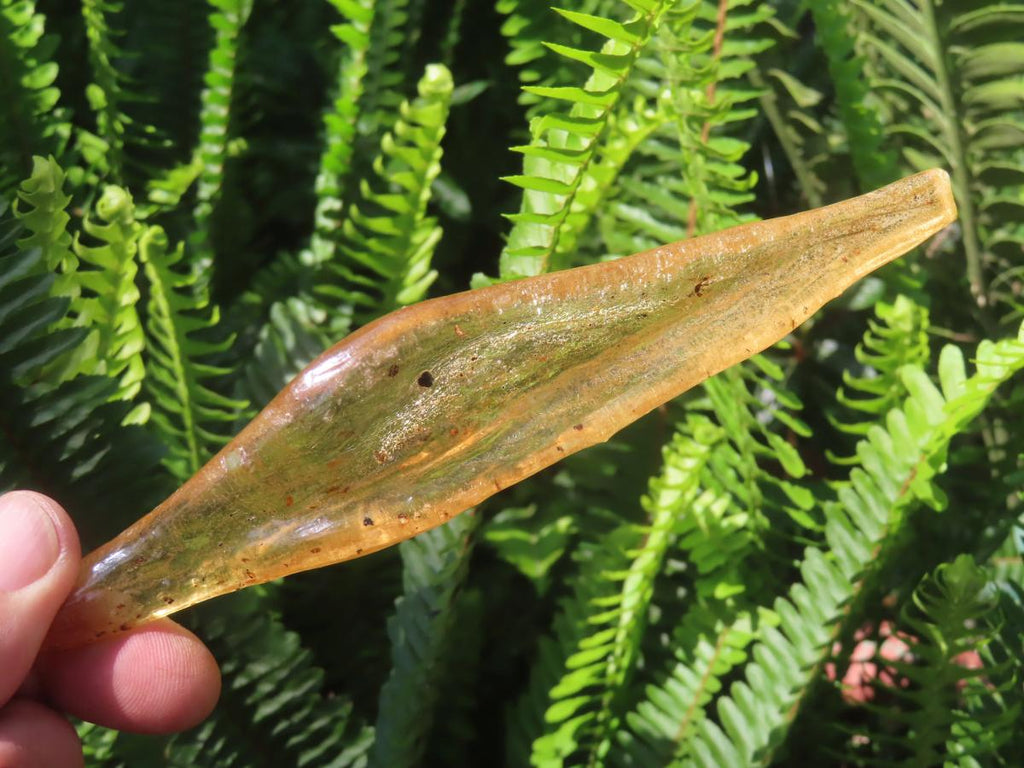 Natural XL Fossil Copal Amber With Insects And Plant Matter x 1 From Nosy Varika, Madagascar
