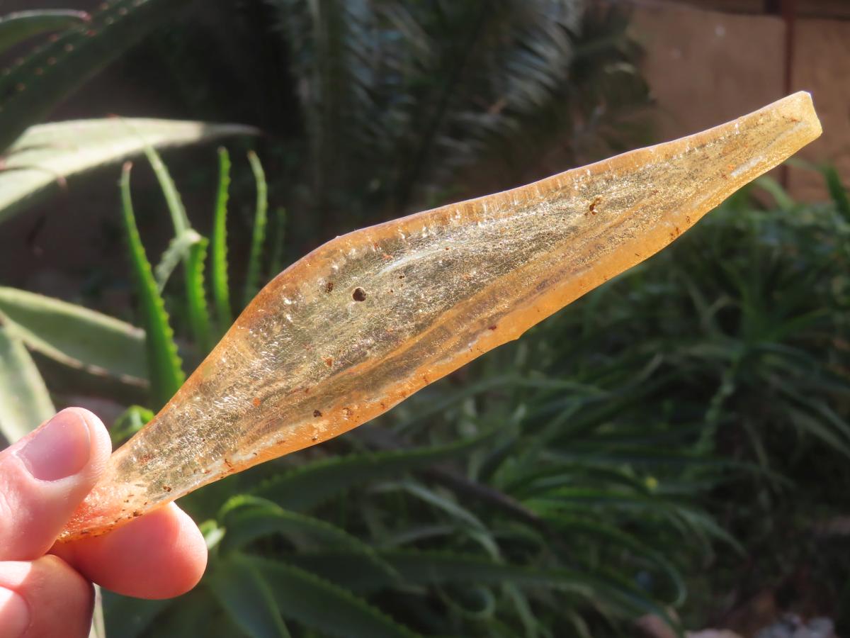 Natural XL Fossil Copal Amber With Insects And Plant Matter x 1 From Nosy Varika, Madagascar