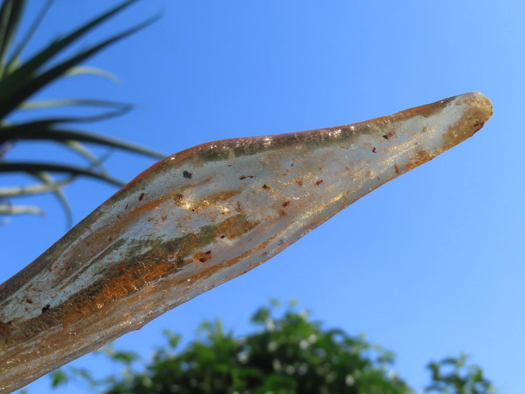 Natural XL Fossil Copal Amber With Insects And Plant Matter x 1 From Nosy Varika, Madagascar