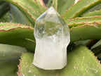 Polished Sceptre Clear Quartz Crystal x 1 From Akansobe, Madagascar