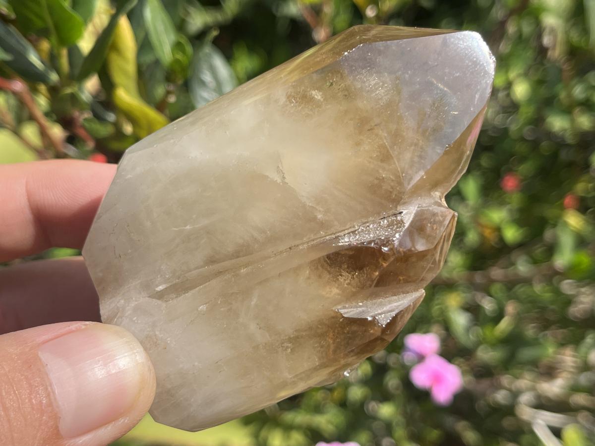 Polished Triplet Dark Smokey Citrine Crystal x 1 From Madagascar