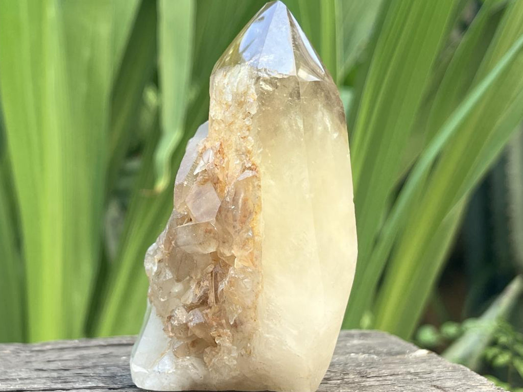 Polished Triplet Dark Smokey Citrine Crystal x 1 From Madagascar