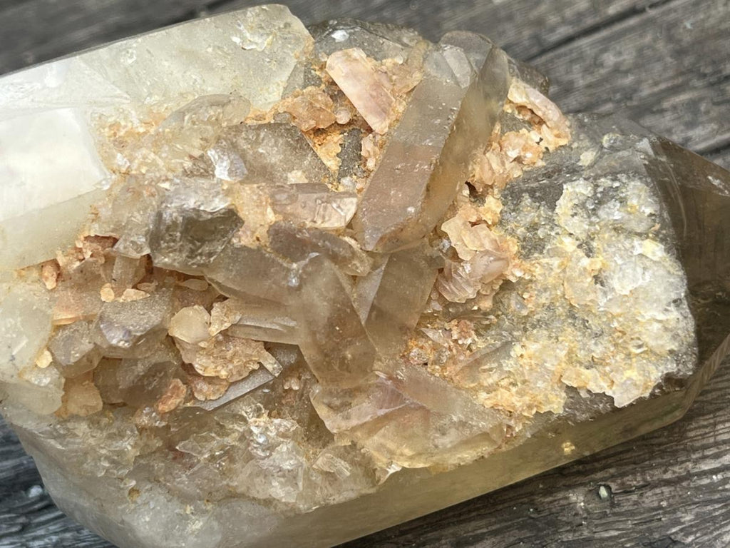 Polished Triplet Dark Smokey Citrine Crystal x 1 From Madagascar