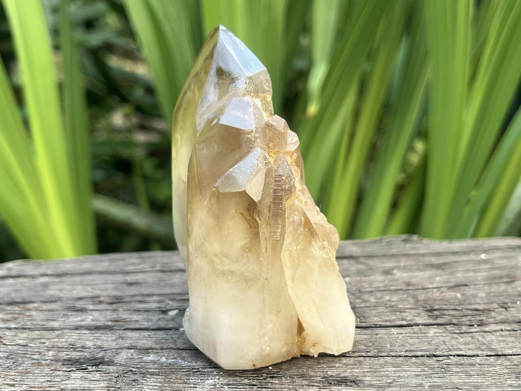 Polished Triplet Dark Smokey Citrine Crystal x 1 From Madagascar