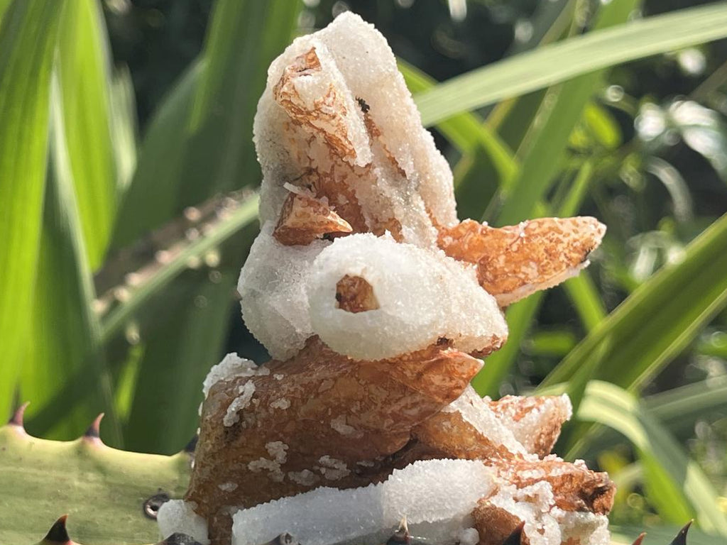 Natural Drusy Sceptre Spearhead Calcite Conglomerate x 1 From Albert's Mountain, Lesotho