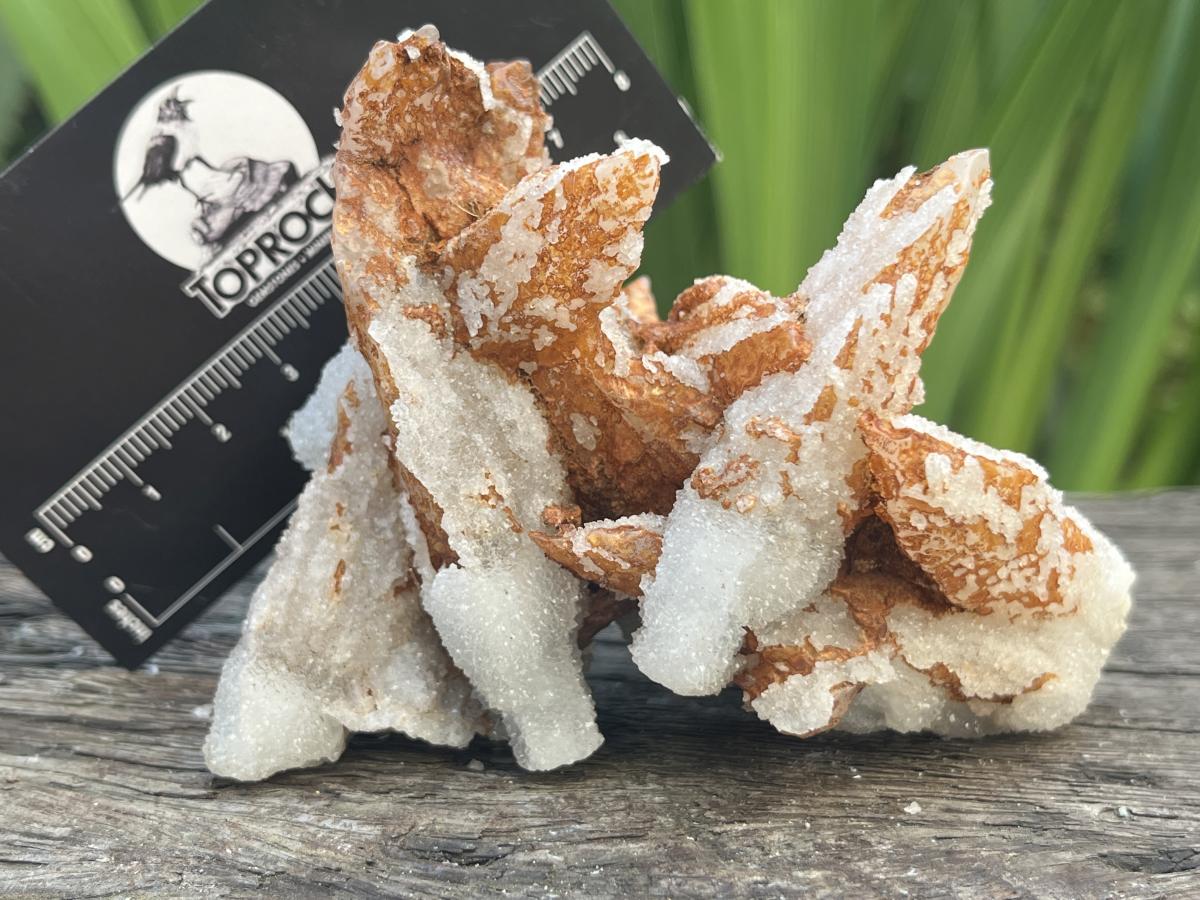 Natural Drusy Sceptre Spearhead Calcite Conglomerate x 1 From Albert's Mountain, Lesotho