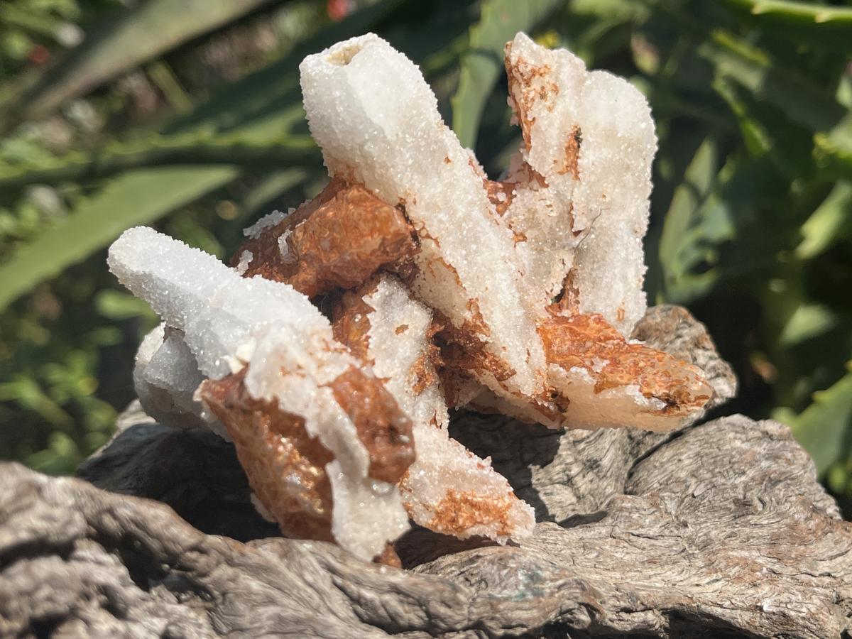 Natural Drusy Sceptre Spearhead Calcite Conglomerate x 1 From Albert's Mountain, Lesotho