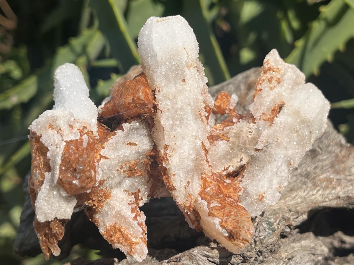 Natural Drusy Sceptre Spearhead Calcite Conglomerate x 1 From Albert's Mountain, Lesotho