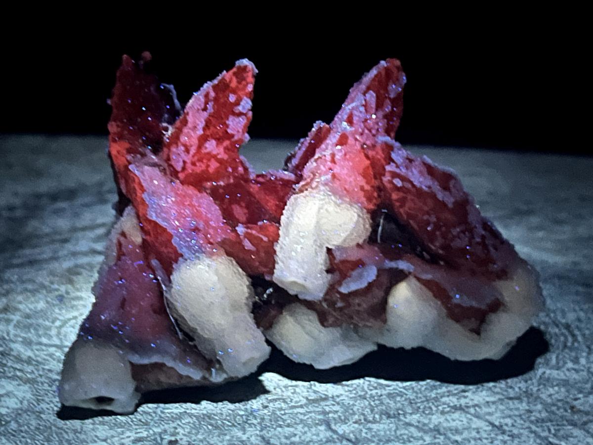 Natural Drusy Sceptre Spearhead Calcite Conglomerate x 1 From Albert's Mountain, Lesotho