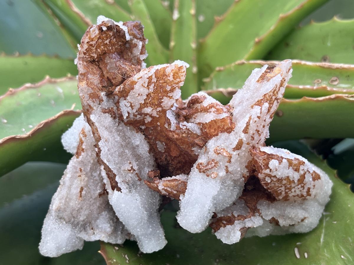 Natural Drusy Sceptre Spearhead Calcite Conglomerate x 1 From Albert's Mountain, Lesotho