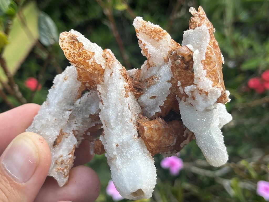 Natural Drusy Sceptre Spearhead Calcite Conglomerate x 1 From Albert's Mountain, Lesotho