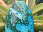 Polished Malacolla Free Form x 1 From Kulukuluku, Congo