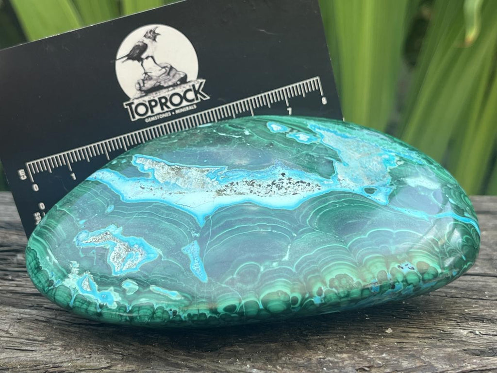 Polished Malacolla Free Form x 1 From Kulukuluku, Congo