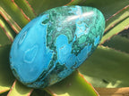 Polished Malacolla Free Form x 1 From Kulukuluku, Congo