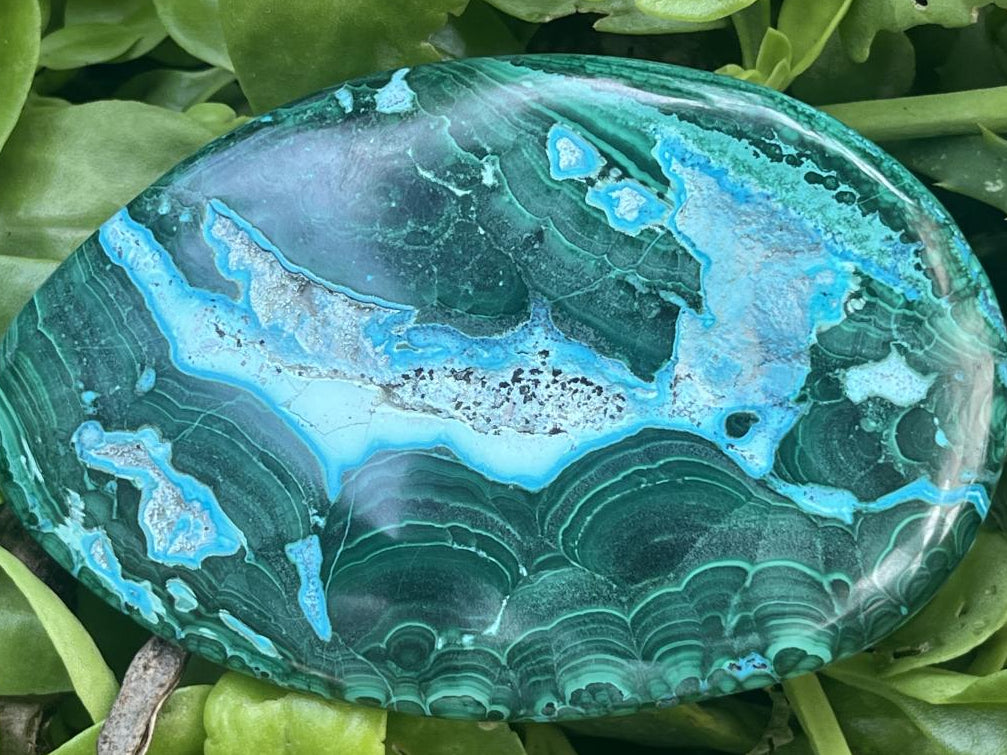Polished Malacolla Free Form x 1 From Kulukuluku, Congo