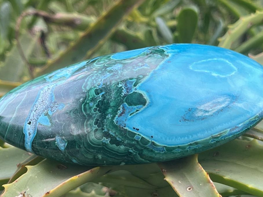 Polished Malacolla Free Form x 1 From Kulukuluku, Congo