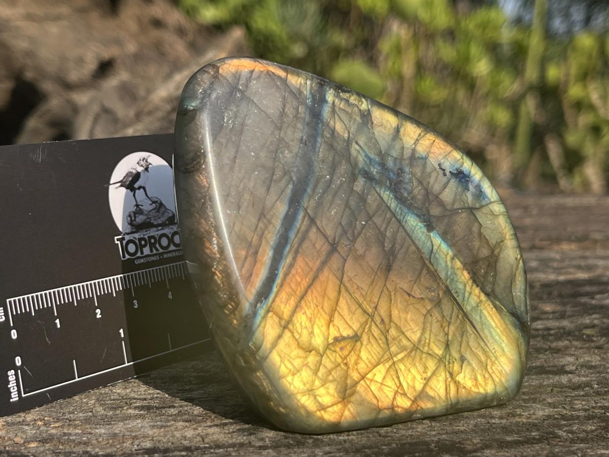 Polished Golden Sunset Flash Labradorite Standing Free Form x 1 From Tulear, Madagascar
