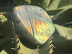 Polished Golden Sunset Flash Labradorite Standing Free Form x 1 From Tulear, Madagascar