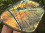 Polished Golden Sunset Flash Labradorite Standing Free Form x 1 From Tulear, Madagascar