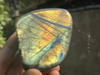 Polished Golden Sunset Flash Labradorite Standing Free Form x 1 From Tulear, Madagascar