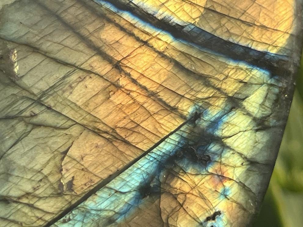 Polished Golden Sunset Flash Labradorite Standing Free Form x 1 From Tulear, Madagascar
