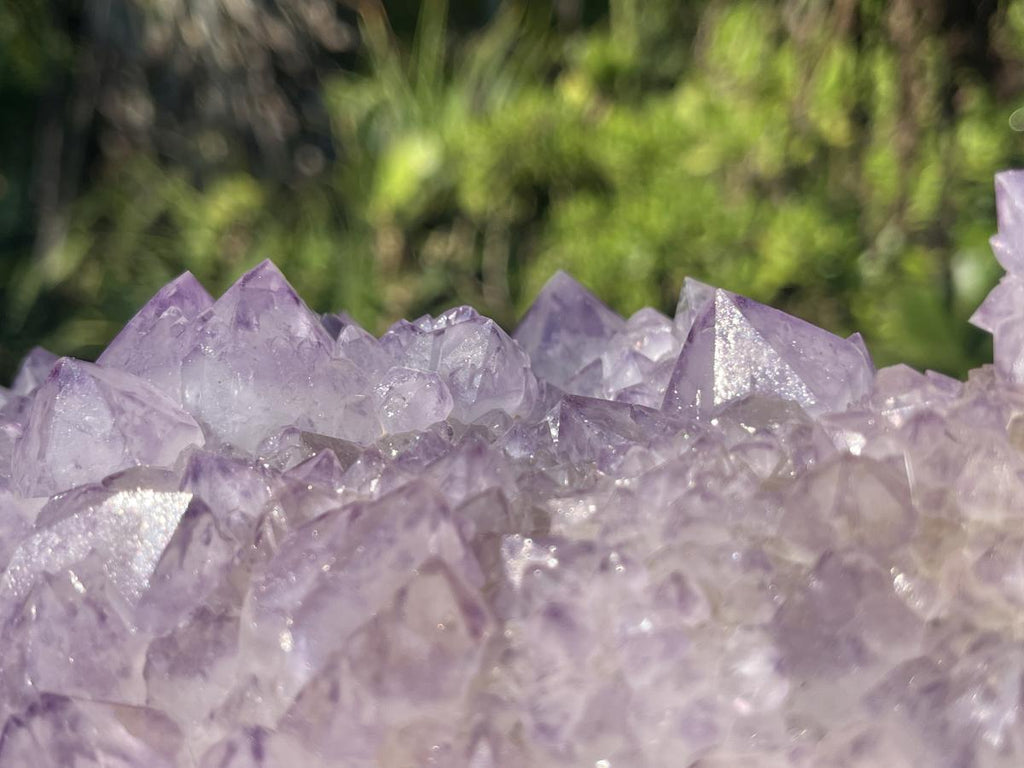 Natural Sunburst Amethyst Spirit Cluster Plate x 1 From Boekenhouthoek, South Africa