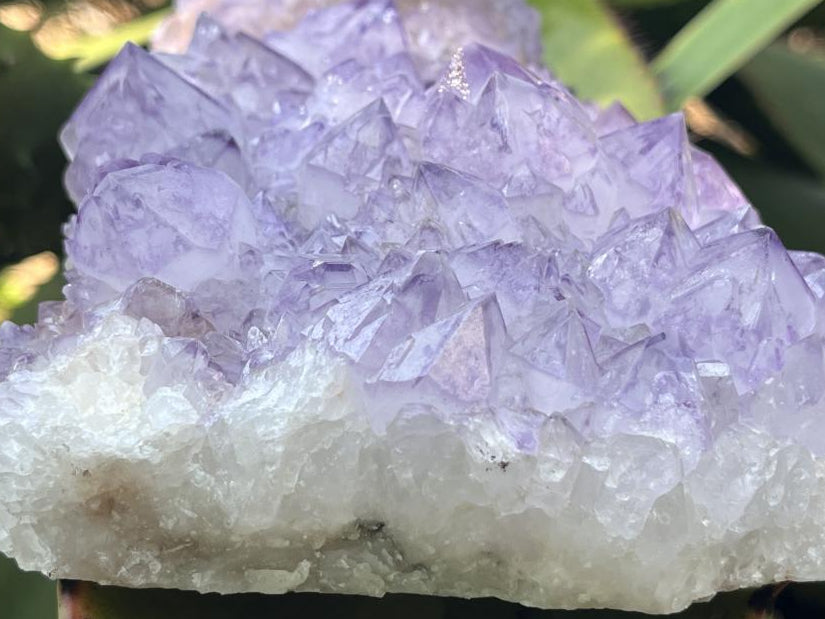 Natural Sunburst Amethyst Spirit Cluster Plate x 1 From Boekenhouthoek, South Africa