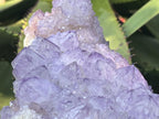 Natural Sunburst Amethyst Spirit Cluster Plate x 1 From Boekenhouthoek, South Africa