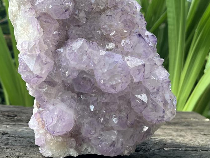 Natural Sunburst Amethyst Spirit Cluster Plate x 1 From Boekenhouthoek, South Africa