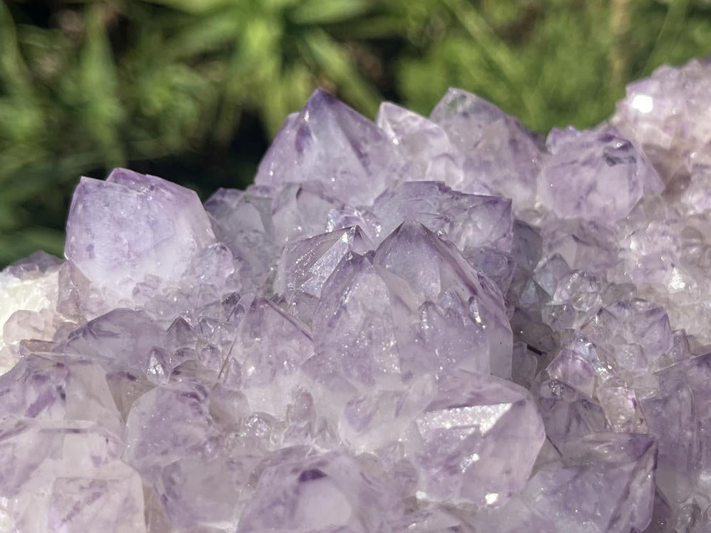 Natural Sunburst Amethyst Spirit Cluster Plate x 1 From Boekenhouthoek, South Africa