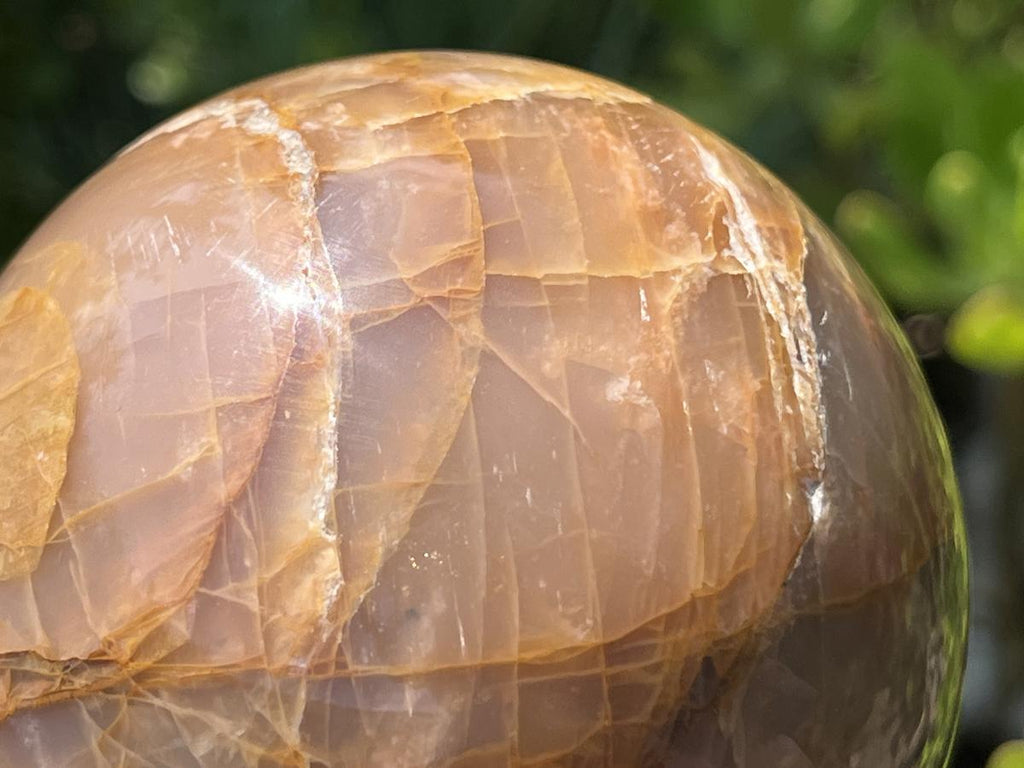 Polished Chatoyant Peach Moonstone Sphere x 1 From Madagascar