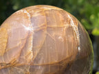 Polished Chatoyant Peach Moonstone Sphere x 1 From Madagascar