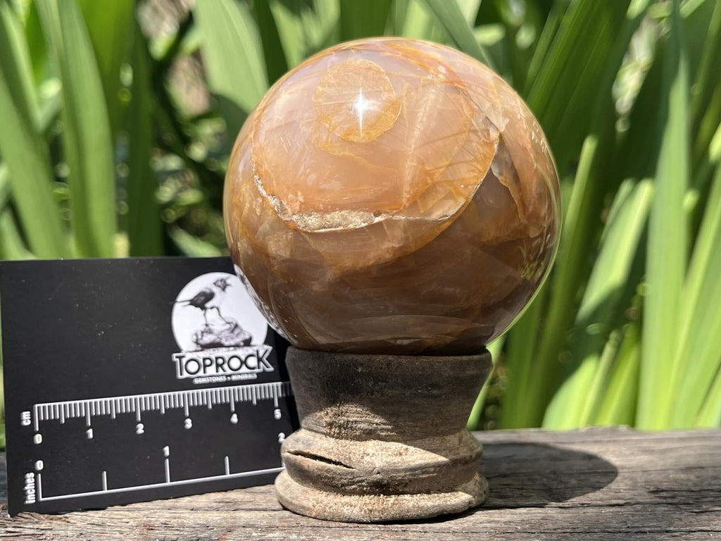 Polished Chatoyant Peach Moonstone Sphere x 1 From Madagascar