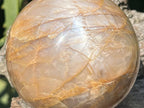 Polished Chatoyant Peach Moonstone Sphere x 1 From Madagascar