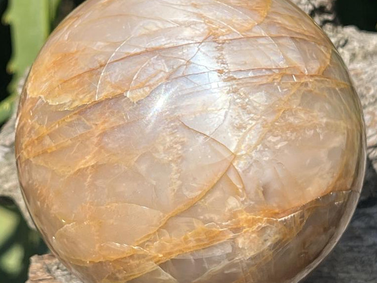 Polished Chatoyant Peach Moonstone Sphere x 1 From Madagascar