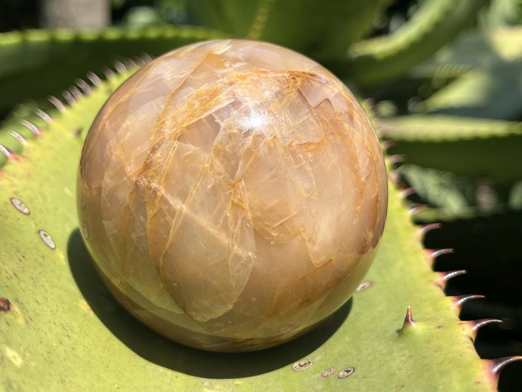 Polished Chatoyant Peach Moonstone Sphere x 1 From Madagascar
