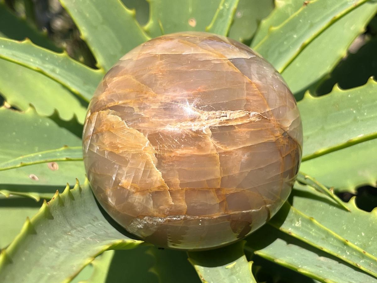 Polished Chatoyant Peach Moonstone Sphere x 1 From Madagascar