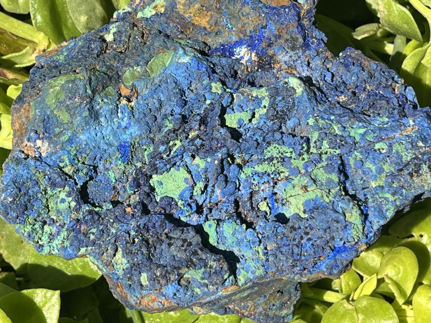 Natural Large Crystalline Azurite And Malachite Specimen x 1 From Tchudi Mine, Tsumeb, Namibia