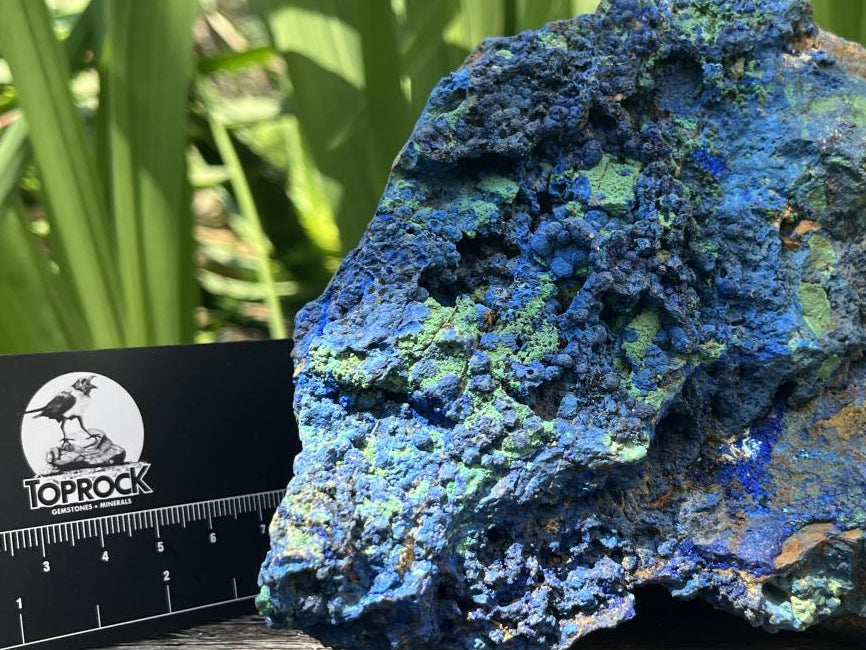 Natural Large Crystalline Azurite And Malachite Specimen x 1 From Tchudi Mine, Tsumeb, Namibia
