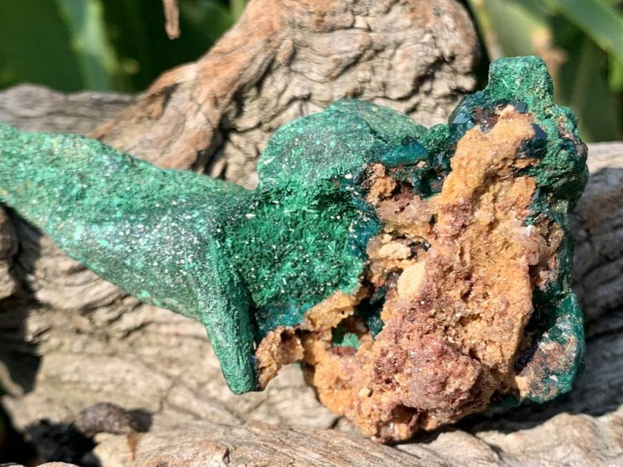 Natural Dioptase on Malachite After Azurite Crystalline Pseudomorph Crystal Pockets x 1 From Likasi, Congo