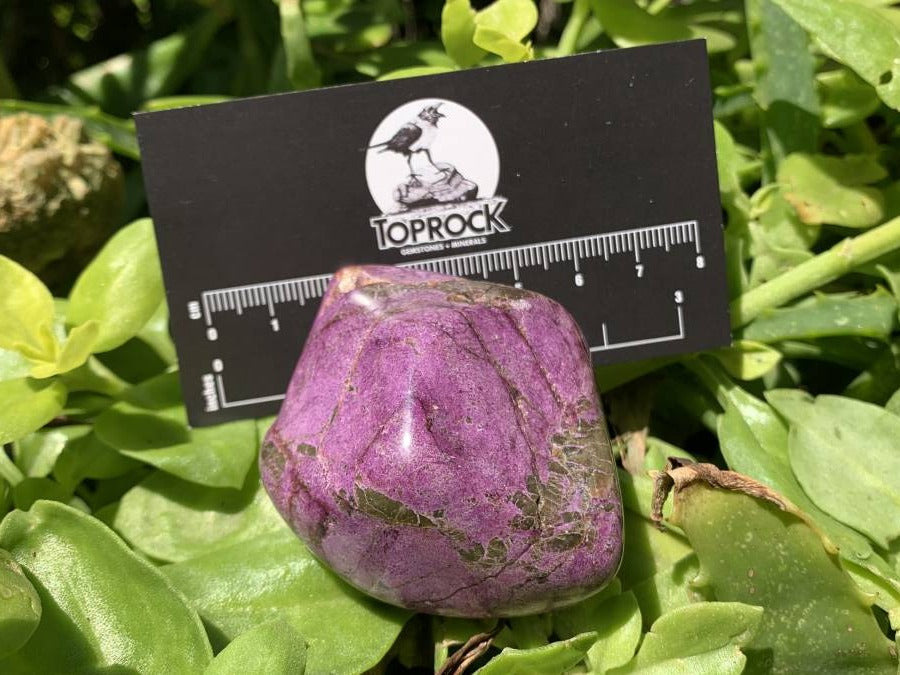 Polished Silky Purple Stichtite Free Form x 1 From Barberton, South Africa