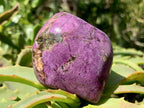 Polished Silky Purple Stichtite Free Form x 1 From Barberton, South Africa