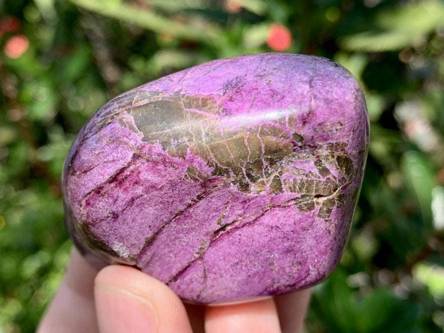 Polished Silky Purple Stichtite Free Form x 1 From Barberton, South Africa