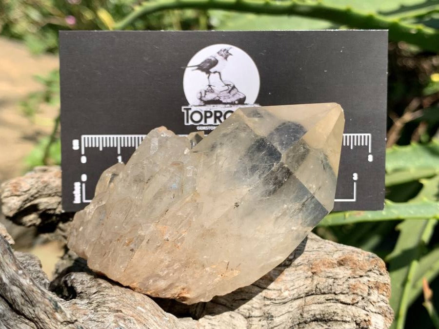 Natural Cascading Single Quartz Crystal x 1 From Luena, Congo