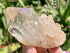 Natural Cascading Single Quartz Crystal x 1 From Luena, Congo