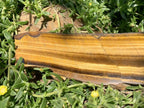 Polished On One Side Golden Tigers Eye Slab x 1 From Prieska, South Africa
