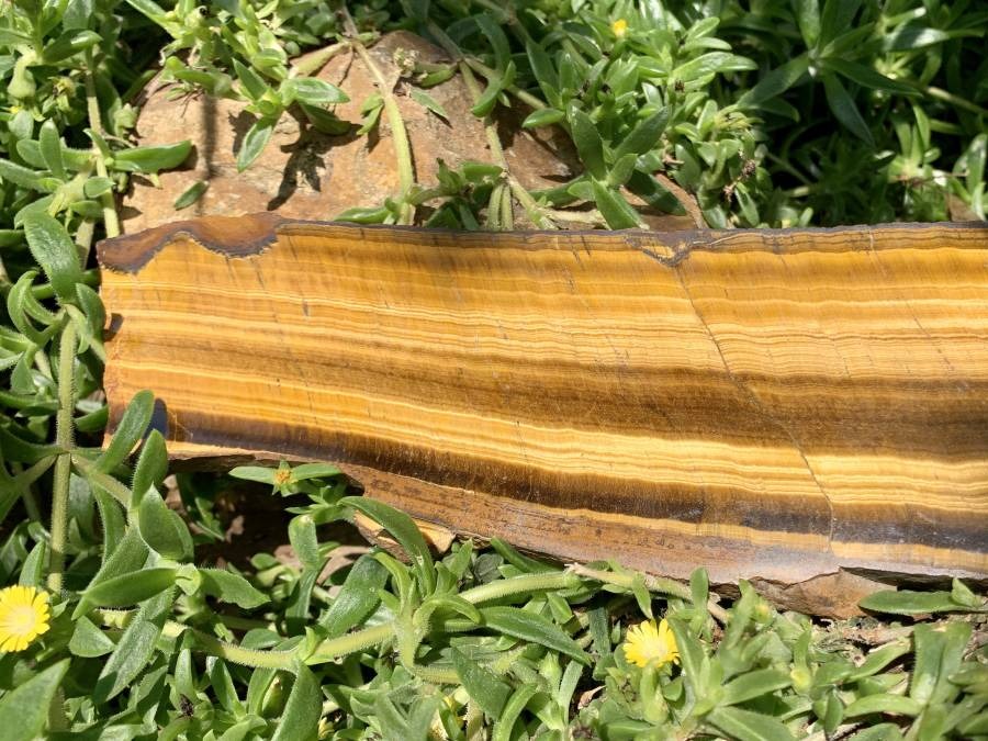 Polished On One Side Golden Tigers Eye Slab x 1 From Prieska, South Africa
