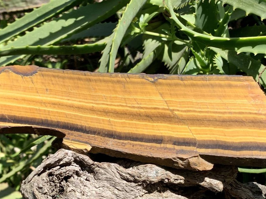 Polished On One Side Golden Tigers Eye Slab x 1 From Prieska, South Africa
