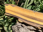 Polished On One Side Golden Tigers Eye Slab x 1 From Prieska, South Africa