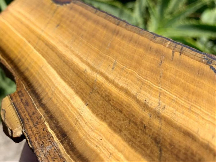 Polished On One Side Golden Tigers Eye Slab x 1 From Prieska, South Africa